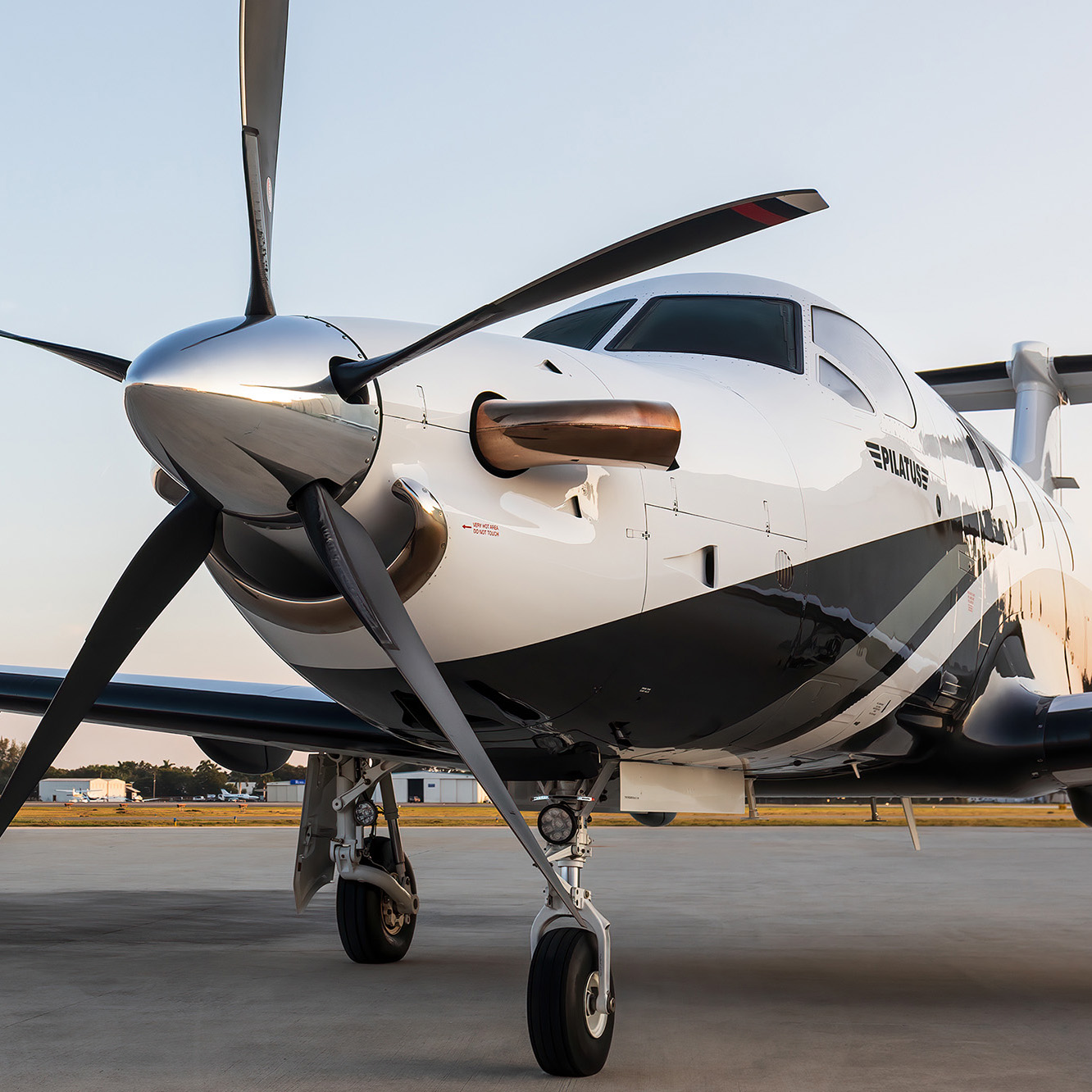 Hands-on pre-purchase inspection at the airframe